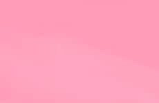 Cross-Brand V-Day Initiatives