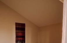 Bold Zoo Hotel Interiors