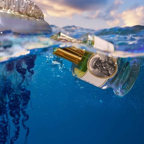 Aromatic Aquatic Fragrances