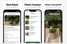 Plant Care Assistants