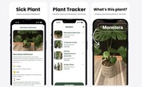 Plant Care Assistants
