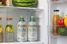 Protein-Rich Plant-Based Milks