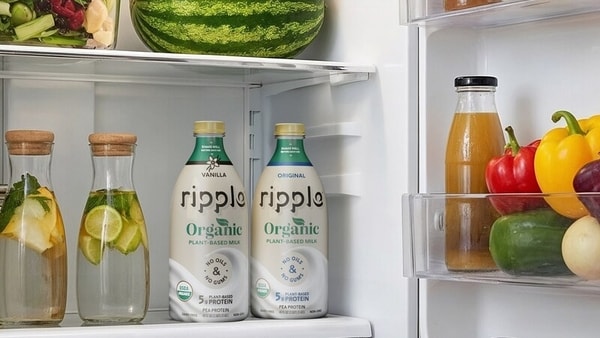 Protein-Rich Plant-Based Milks