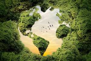 Global Environmental Initiatives Article Thubnail