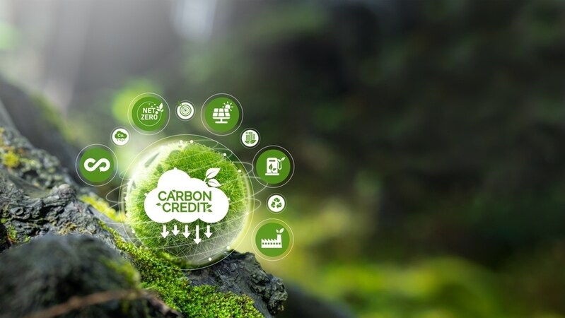 Carbon Credit Certifiers Article Thubnail