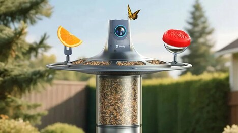 360-Degree Camera Bird Feeders