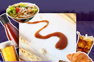 Upcycled Brewer Grain Malts Article Thubnail