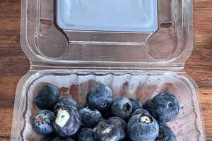 Shelf Life-Extending Films Article Thubnail