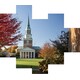 Business Wealth Advisor Programs Image 1