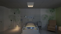 Soothing Ambience-Focused Lights Image 3