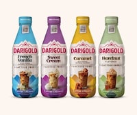 Flavorful Lactose-Free Creamers