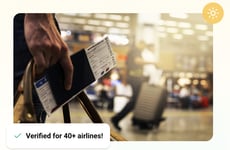 Luggage Size Checkers