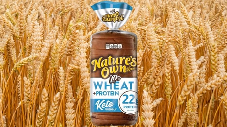 Protein-Packed Whole Wheat Breads