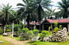 Youth Retirement Homes