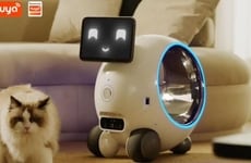 Entertaining Pet Care Robots