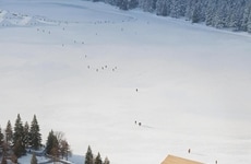 Serene Wooden Landmarks