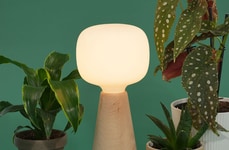Ambient Grow Lamps