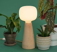 Ambient Grow Lamps Image 1