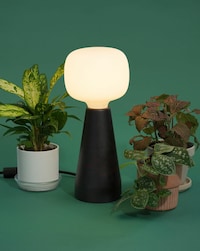 Ambient Grow Lamps Image 2