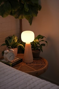Ambient Grow Lamps Image 3