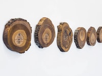 Playable Oak Sculptures Image 3