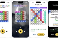 Vocabulary Puzzle Games