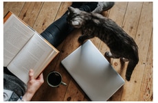 Book Discovery Platforms