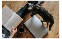 Book Discovery Platforms