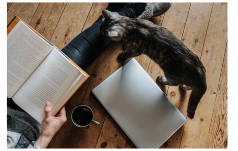 Book Discovery Platforms