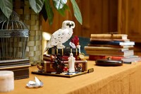 Wizarding Anniversary Sets Image 4