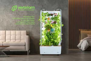 Hydroponic Home Gardens Article Thubnail