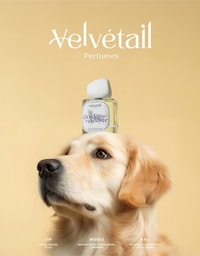 Pet-Inspired Perfumes Image 1