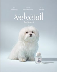 Pet-Inspired Perfumes Image 2