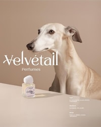 Pet-Inspired Perfumes Image 3