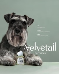 Pet-Inspired Perfumes Image 5
