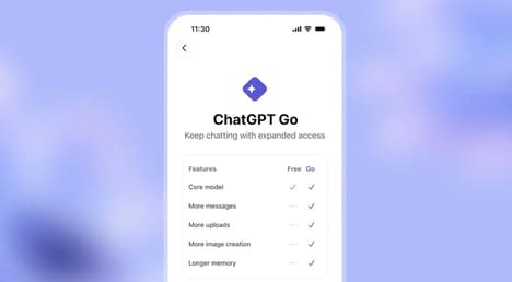 Accessible Ad-Supported AI Platforms
