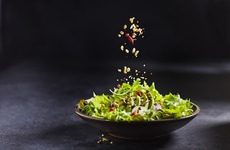 High-Fiber Gut Boosters