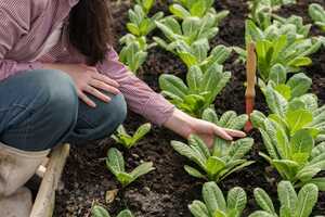 Community-Driven Climate Programs Article Thubnail