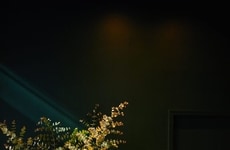 Alcohol-Free Members Clubs