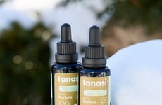Balanced University-Developed Cannabis Formulas