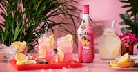 Tropical Convenience-Focused Cocktail Lineups