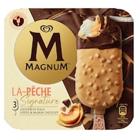 Artisanal Gelato Frozen Treats Image 2