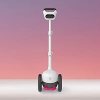 Wheeled Robotic Aids