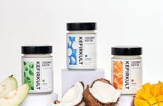 Coconut Kefir Yogurts