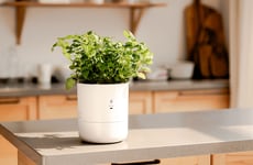 Self-Watering Smart Planters