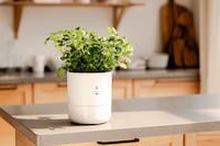 Self-Watering Smart Planters
