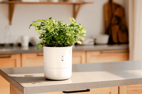 Self-Watering Smart Planters