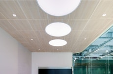 Biophilic Workplace Designs