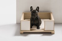 Luxury Pet Accessories Image 3