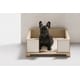 Luxury Pet Accessories Image 3